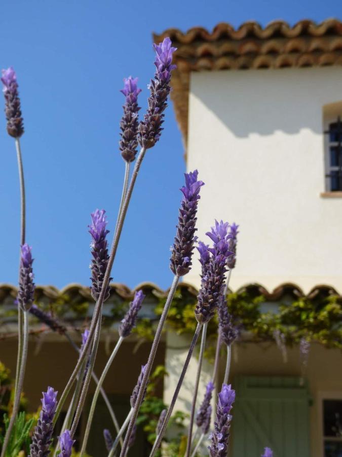 Azurea Valbonne Exterior foto